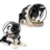 Wisle Dog Recovery Collar Foldable Comfortable Transparent-4