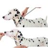 Avont Pet Recovery Collar Foldable Water Repellent Dog Cone-3