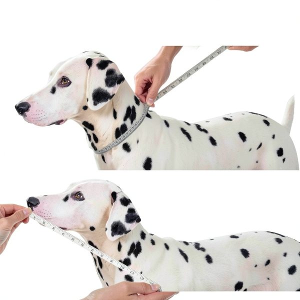Avont Pet Recovery Collar Foldable Water Repellent Dog Cone-3
