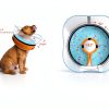 Toptakeit Inflatable Dog Collar Recovery Cone Donut Design-5