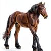 Divwa Horse Figures Realistic PVC Animal Toys for Kids-3