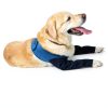 Hanfu Dog Recovery Sleeve Waterproof Durable Pet Wound-3