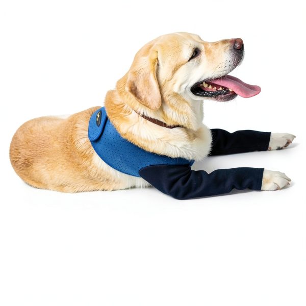 Hanfu Dog Recovery Sleeve Waterproof Durable Pet Wound-3