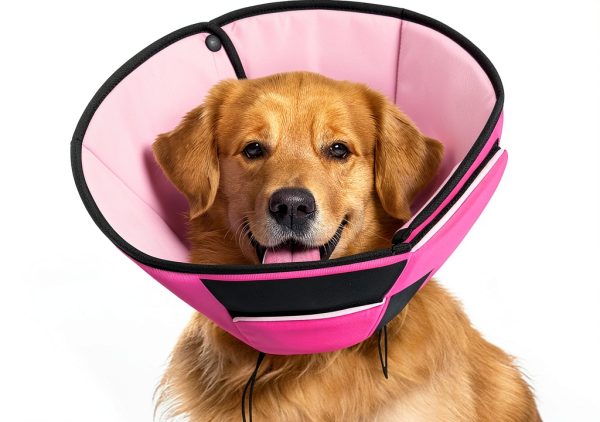 PREFERHOUSE Dog Recovery Collar Soft Cone Alternative Sizes-0