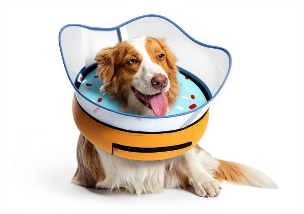 Toptakeit Inflatable Dog Collar Recovery Cone Donut Design-1