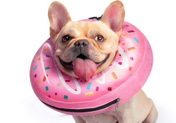 Didopet Inflatable Dog Cone Collar Recovery Donut Pillow-0