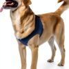 Hanfu Dog Recovery Sleeve Waterproof Durable Pet Wound-1