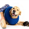 Supet Inflatable Dog Collar Soft Recovery Cone Alternative-2