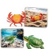 Beetots Ocean Animal Figures Realistic Educational Kids Toys-5
