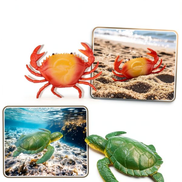 Beetots Ocean Animal Figures Realistic Educational Kids Toys-5