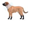 Didopet Inflatable Dog Cone Collar Recovery Donut Pillow-4