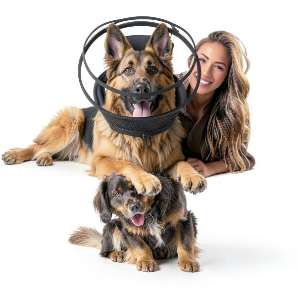 Wisle Dog Recovery Collar Foldable Comfortable Transparent-5