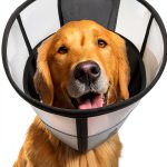 WinWeal Dog Cone Collar Soft Mesh Double Layer Recovery-0
