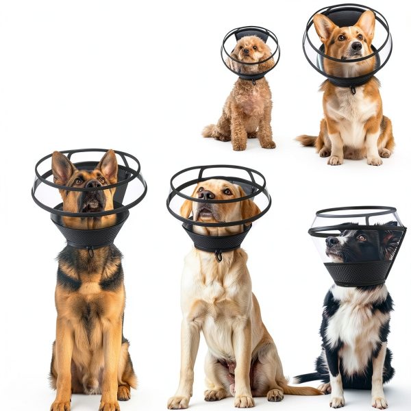 Wisle Dog Recovery Collar Foldable Comfortable Transparent-2