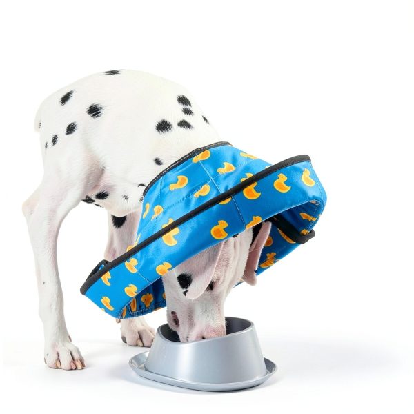 Avont Pet Recovery Collar Foldable Water Repellent Dog Cone-1
