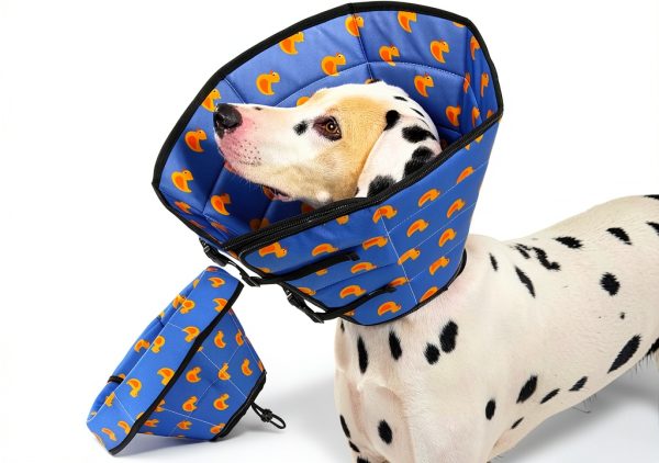 Avont Pet Recovery Collar Foldable Water Repellent Dog Cone-0
