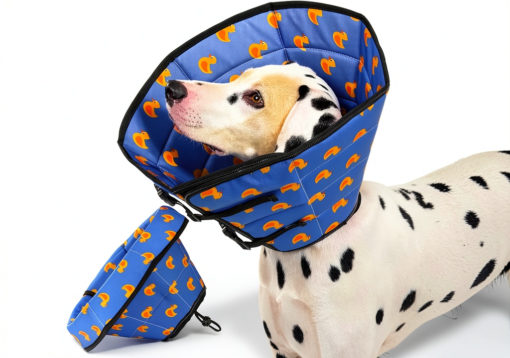 Installing Avont Pet Recovery Collar Foldable Water Repellent Dog Cone on a wooden desk