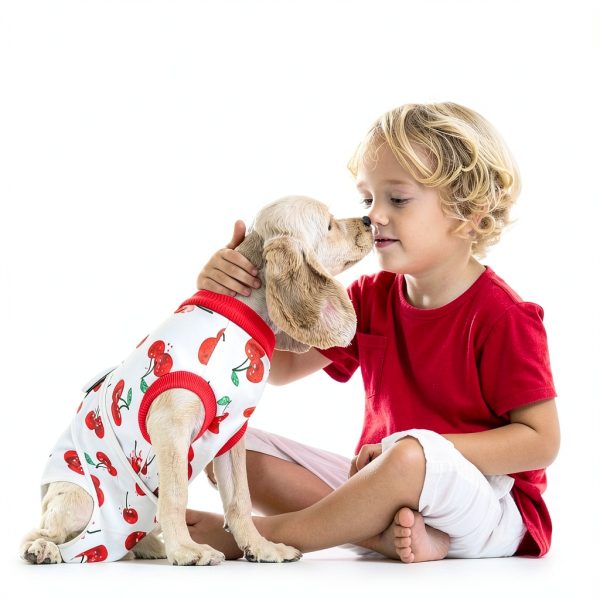 KAROKU Dog Recovery Suit Breathable Fabric Surgery-5