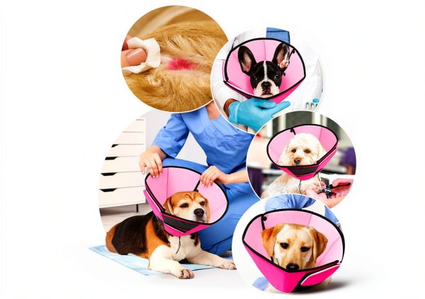 PREFERHOUSE Dog Recovery Collar Soft Cone Alternative Sizes-3
