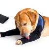 Hanfu Dog Recovery Sleeve Waterproof Durable Pet Wound-2