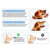 WinWeal Dog Cone Collar Soft Mesh Double Layer Recovery-3