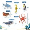 Beetots Ocean Animal Figures Realistic Educational Kids Toys-1