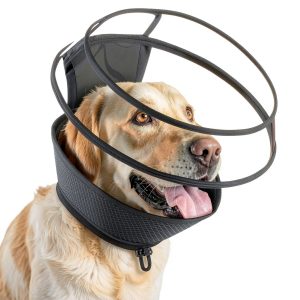 Wisle Dog Recovery Collar Foldable Comfortable Transparent-0