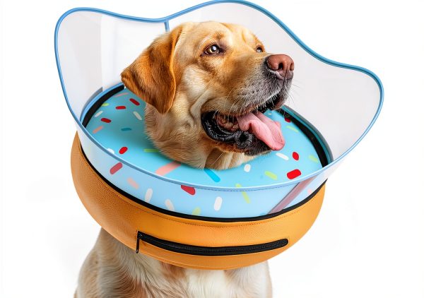 Toptakeit Inflatable Dog Collar Recovery Cone Donut Design-0