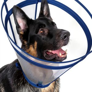 Didopet Dog Recovery Collar Clear Vision Adjustable Fit-0