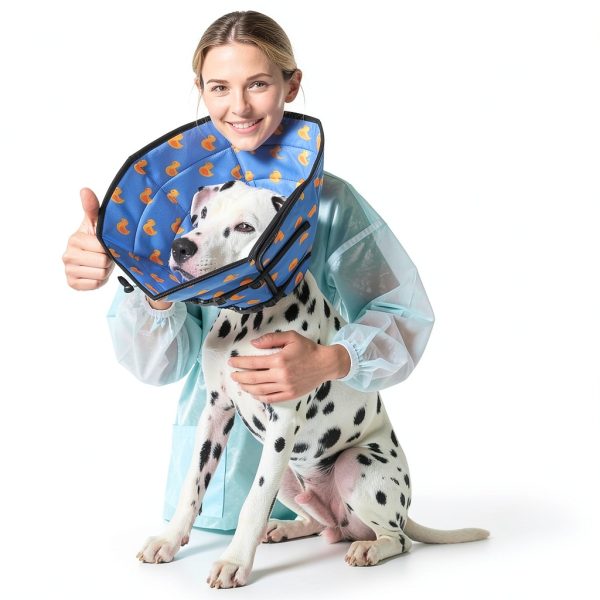 Avont Pet Recovery Collar Foldable Water Repellent Dog Cone-2