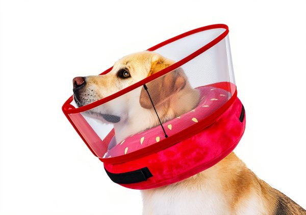 Mariyago Dog Recovery Collar Inflatable Pet Supplies-1