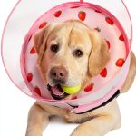 Dog Inflatable Collar Mariyago Wider Anti Lick Design-0