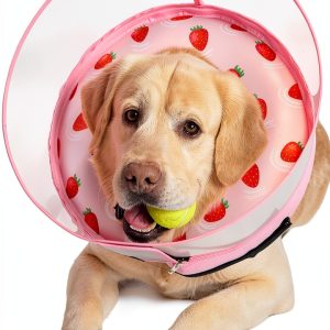 Dog Inflatable Collar Mariyago Wider Anti Lick Design-0