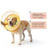 Dog Inflatable Collar Mariyago Soft Breathable-6
