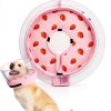 Dog Inflatable Collar Mariyago Wider Anti Lick Design-4