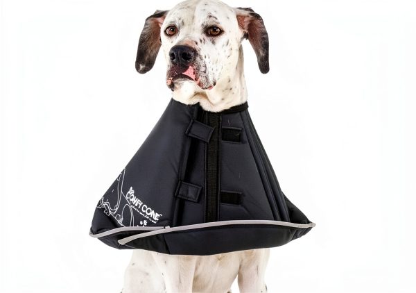 Comfy Cone Pet Recovery Collar for Dogs and Cats-2