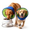 Fickte Soft Dog Cone Collar Green-Blue L+ Pet Supplies-3