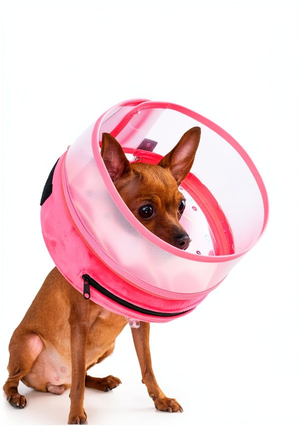 Mariyago Dog Recovery Collar Inflatable Pet Supplies-1
