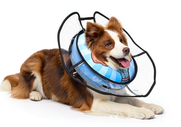 Kooltail Adjustable Dog Cone Collar-5