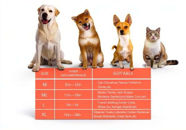 Dog Inflatable Collar Mariyago Soft Breathable-3