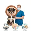 KOOLTAIL Inflatable Dog Cone Collar Adjustable-4