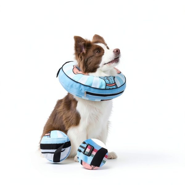 Kooltail Adjustable Dog Cone Collar-3