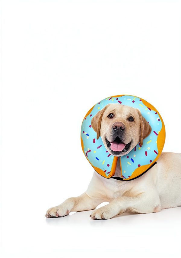 Cneo-dog Inflatable Dog Collar for Recovery-3