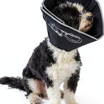 Comfy Cone Pet Recovery Collar for Dogs and Cats-0
