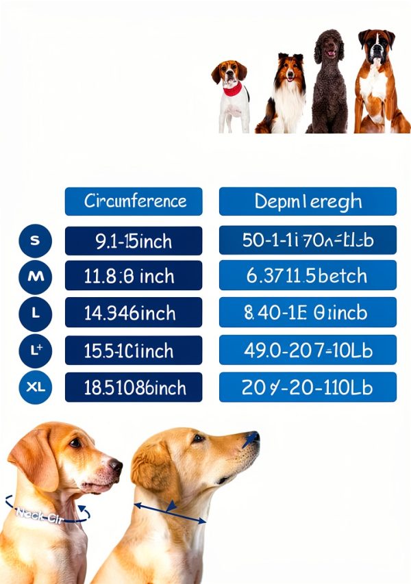 Fickte Soft Dog Cone Collar Green-Blue L+ Pet Supplies-6