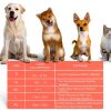 Dog Inflatable Collar Mariyago Soft Breathable-2