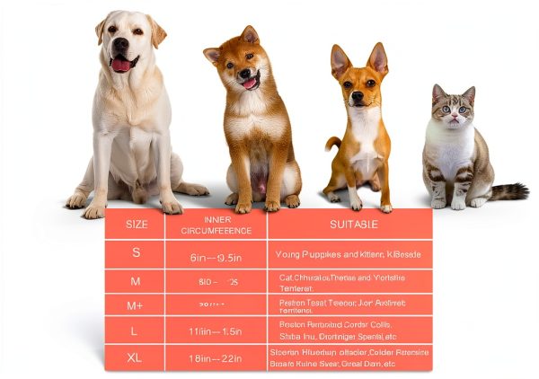 Dog Inflatable Collar Mariyago Soft Breathable-2