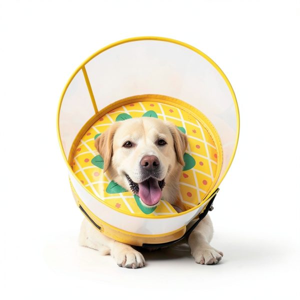 Dog Inflatable Collar Mariyago Soft Breathable-1