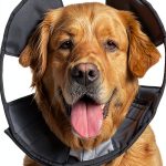 ZenPet Recovery Collar for Dogs and Cats-0