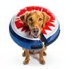 Pet Inflatable Neck Donut Collar by BEAUTYZOO-2